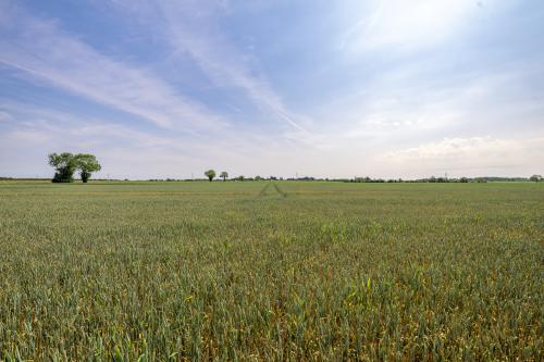 Digby House Farm, Digby Fen, Lincoln, LN4