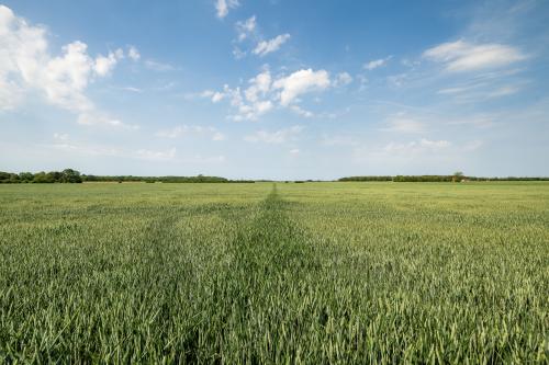 Digby House Farm, Digby Fen, Lincoln, LN4