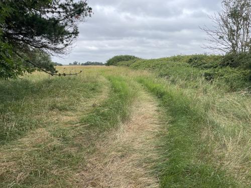 40.61 Acres The Corkerets, Gravel Drove, Coveney, Ely, CB6