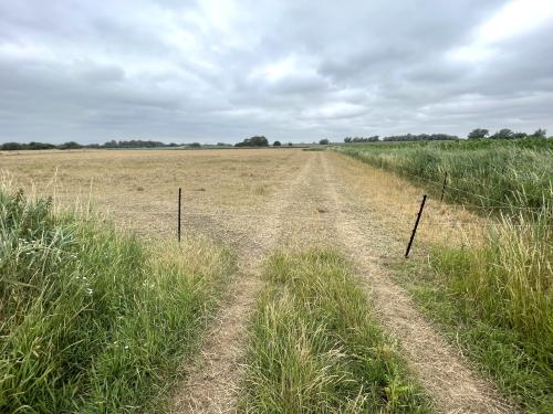 40.61 Acres The Corkerets, Gravel Drove, Coveney, Ely, CB6