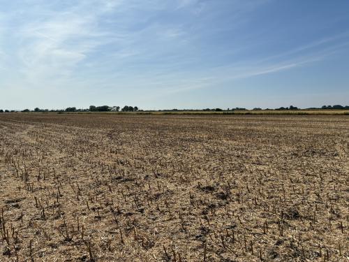Land Off, Owes Lane, Skidbrooke, Louth, LN11
