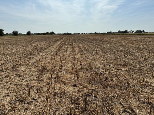 Land Off, Owes Lane, Skidbrooke, Louth, LN11