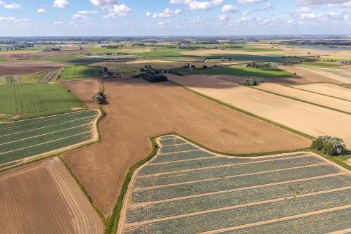 21.61 Acres, Mill Lane, Bicker, Boston, PE20