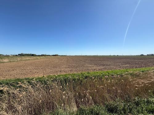 5 Acres, Fendyke Road, Outwell, Wisbech, PE14