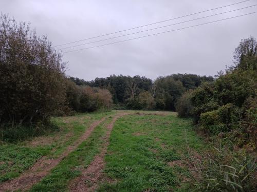 2.7 Acres, Fundenhall Road, Hapton, Norwich, NR15