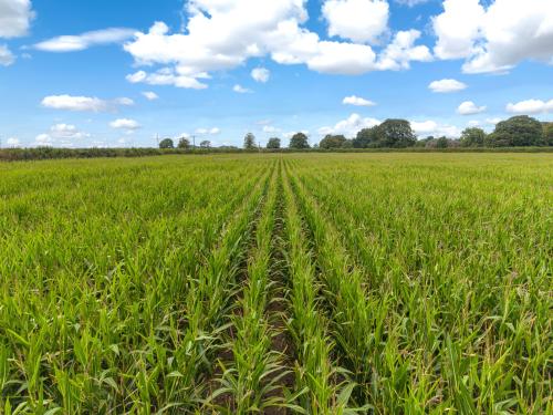 Greenhedge Farm, Longmoor Lane, Aslockton, Nottingham, NG13