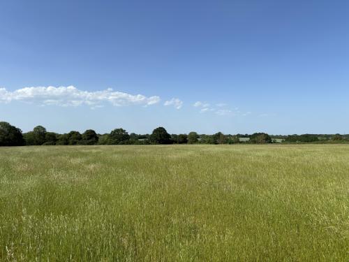 Grassland Off, Jolly's Way, Walsham Le Willows, IP31