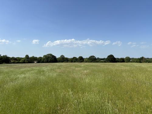 Grassland Off, Jolly's Way, Walsham Le Willows, IP31