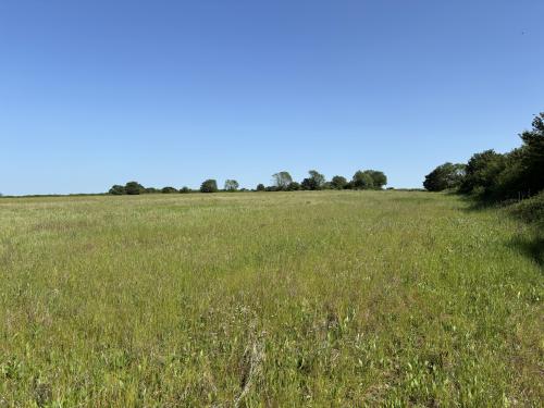 Grassland Off, Jolly's Way, Walsham Le Willows, IP31