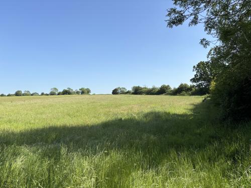 Grassland Off, Jolly's Way, Walsham Le Willows, IP31