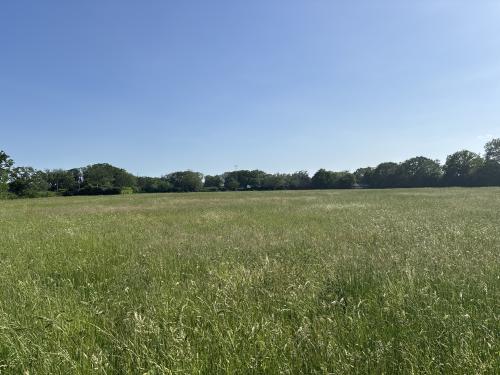 Land Off, Summer Road, Walsham-Le-Willows, Bury St. Edmunds, IP31