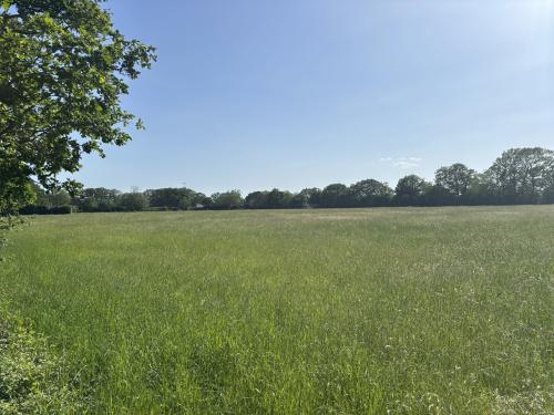 Land Off, Summer Road, Walsham-Le-Willows, Bury St. Edmunds, IP31