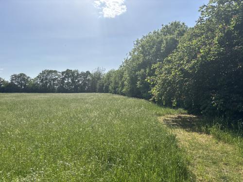 Land Off, Summer Road, Walsham-Le-Willows, Bury St. Edmunds, IP31