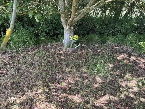 Land Off, Summer Road, Walsham-Le-Willows, Bury St. Edmunds, IP31