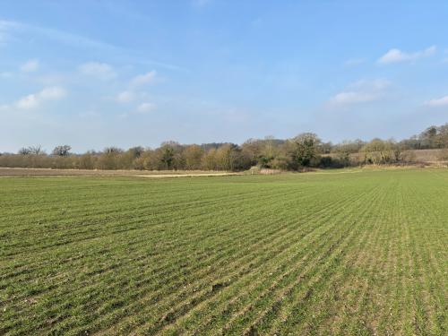 55.39 Acres, Hollow Lane, Barningham, Diss, IP22