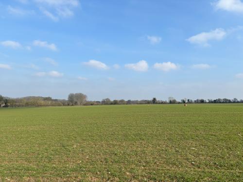 55.39 Acres, Hollow Lane, Barningham, Diss, IP22