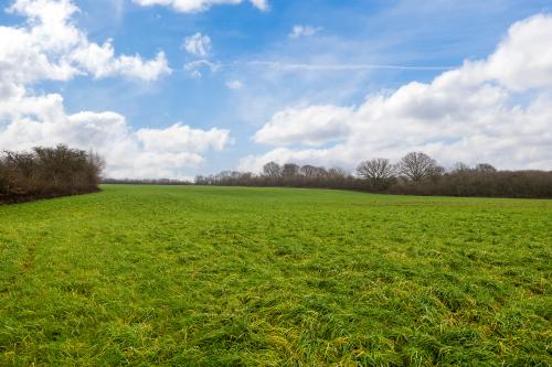 12.87 Acres Lot 2, Elkesley, Retford, DN22