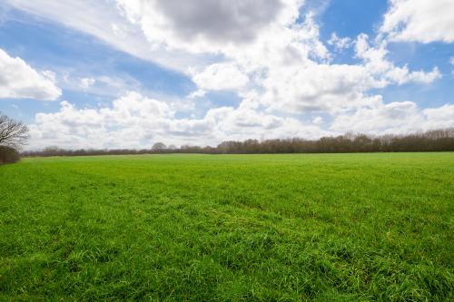 12.87 Acres Lot 2, Elkesley, Retford, DN22
