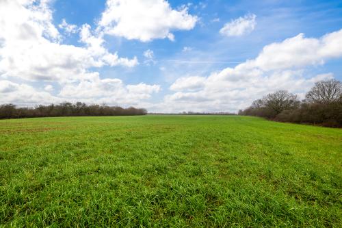 14.94 Acres Lot 1, Elkesley, Retford, DN22