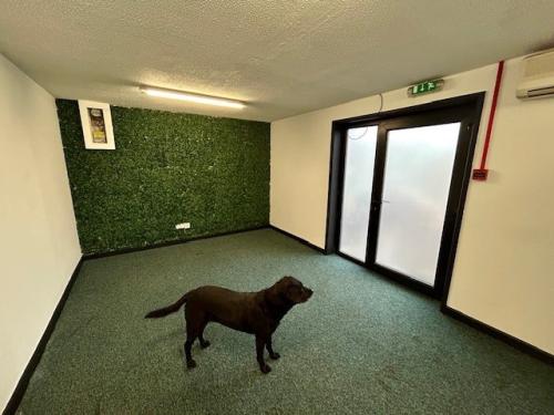 Suite 1K, Membury Business Park, Ermin Street, Membury, Hungerford, RG17