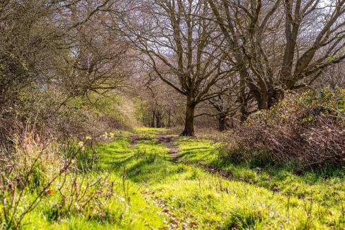 Lot 4 Arable Farmland And Wildlife Lakes, Whisby, Lincoln, LN6