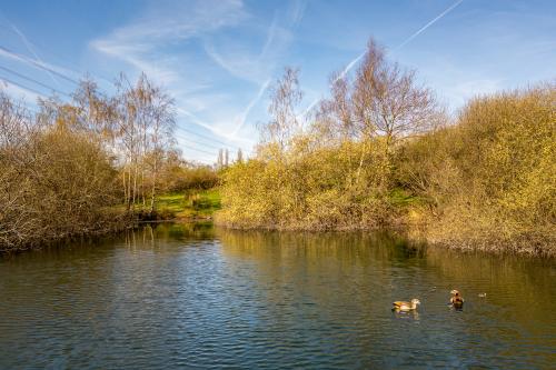 Lot 4 Arable Farmland And Wildlife Lakes, Whisby, Lincoln, LN6