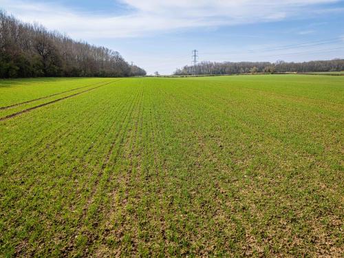 Pasture Lane, Melton Mowbray, LE14