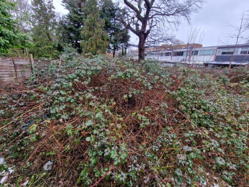 26 Inglemere Road, Forest Hill, London, SE23