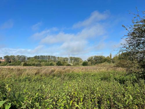 83.27 Acres Wilden Marsh, Wilden Lane, Kidderminster, DY13