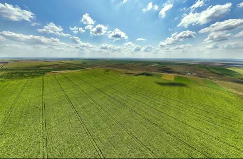 Soimii, Botosani, 0505