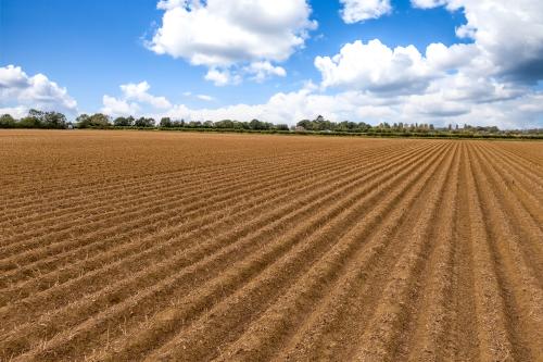 54 Acres Crossholme Farm, Lot 3, Well Street, Bishop Norton, Market Rasen, LN8