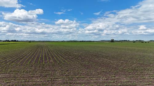 Lots 1-4, Black Fen Lane, Branston Booths, Heighington Fen, LN4