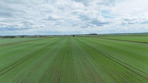 Lot 2, Black Fen Lane, Branston Booths, Heighington Fen, LN4