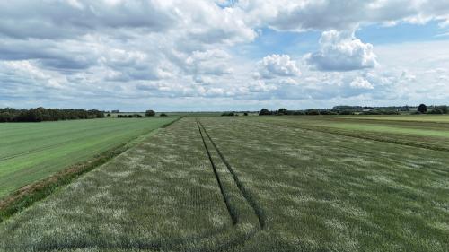 Lot 3, Black Fen Lane, Branston Booths, Heighington Fen, LN4