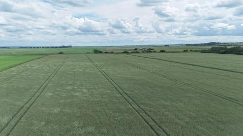Lot 3, Black Fen Lane, Branston Booths, Heighington Fen, LN4