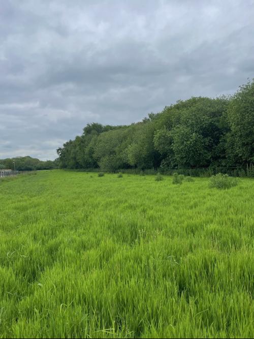 18.65 Acres, Station Road, Gunness, Scunthorpe, DN15