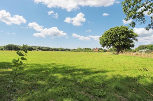 Orchard Cottage, Lot 3, 7 Allison Street, Marsham, Norwich, NR10