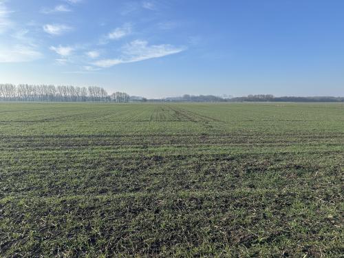 249 Acres, Leven, Beverley, HU17