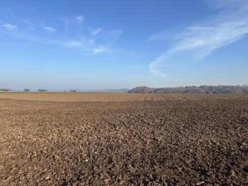 249 Acres, Leven, Beverley, HU17