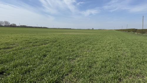 249 Acres, Leven, Beverley, HU17