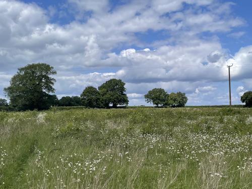 Mill Road, Foxearth, Sudbury, CO10