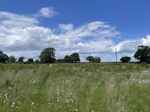 Mill Road, Foxearth, Sudbury, CO10