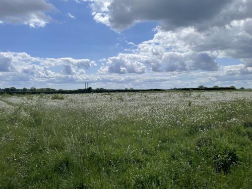 Mill Road, Foxearth, Sudbury, CO10
