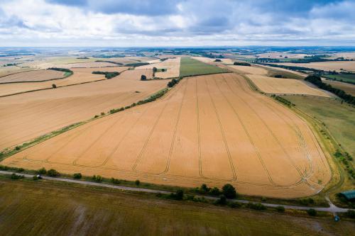 Foxhill & Ridgeway Farms, Callas Hill, Swindon, SN4