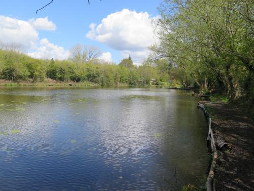 Bleak Hills Lane Fishery, Bleak Hills Lane, Mansfield, NG18