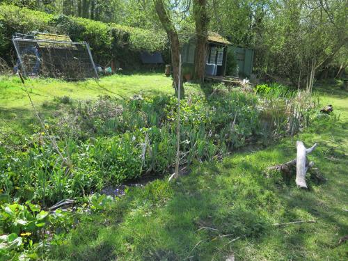 Bleak Hills Lane Fishery, Bleak Hills Lane, Mansfield, NG18