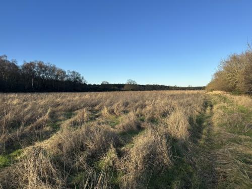 Hall Farm, Edgefield, Holt, NR12