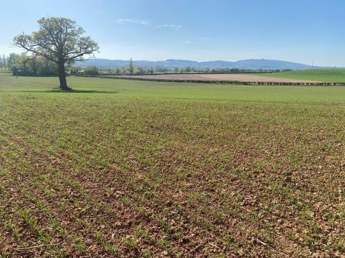 Bulley Lane, Churcham, Gloucester, GL2