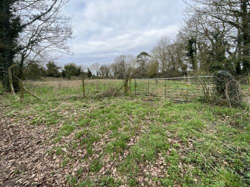 West End, Northwold, Thetford, IP26
