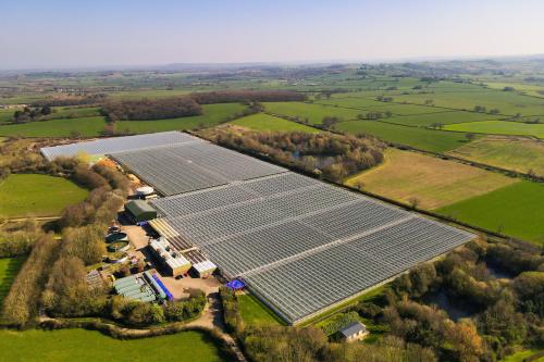 Bradon Nursery, Isle Abbotts, Taunton, TA3